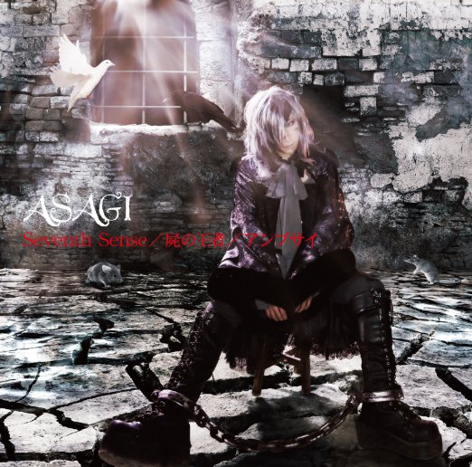 ASAGI/Seventh Sense/屍の王者/アンプサイ