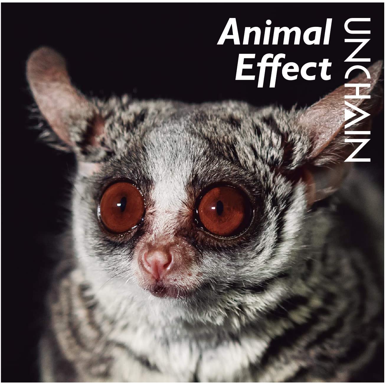 UNCHAIN/Animal Effect