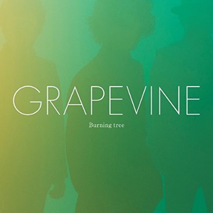 GRAPEVINE/Big tree song