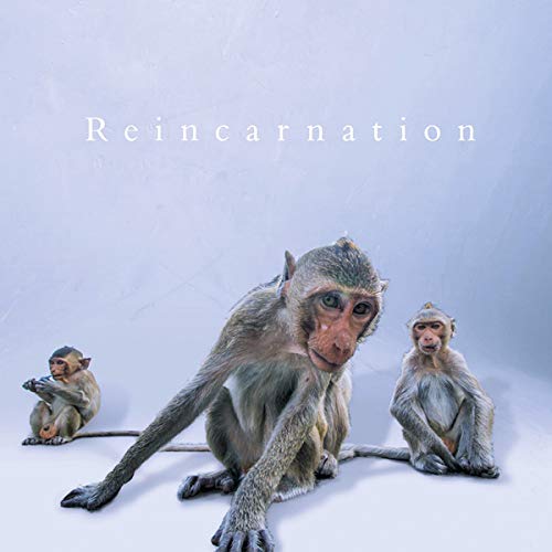 Neverland/Reincarnation