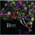 Bloom -in my withered garden-