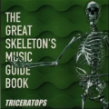 THE GREAT SKELETON'S MUSIC GUIDE BOOK