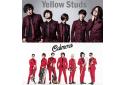 Yellow Studsのニュース