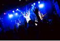 Paul Kelly ×のしげまつへのインタビュー