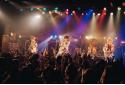DIVのニュース