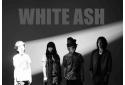 WHITE ASHのニュース